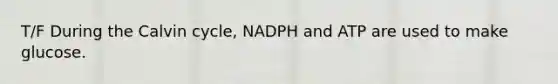 T/F During the Calvin cycle, NADPH and ATP are used to make glucose.