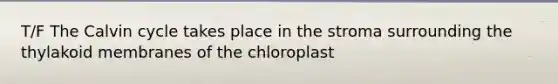 T/F The Calvin cycle takes place in the stroma surrounding the thylakoid membranes of the chloroplast