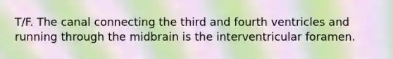 T/F. The canal connecting the third and fourth ventricles and running through the midbrain is the interventricular foramen.