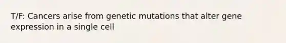 T/F: Cancers arise from genetic mutations that alter gene expression in a single cell