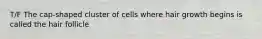 T/F The cap-shaped cluster of cells where hair growth begins is called the hair follicle