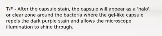 T/F - After the capsule stain, the capsule will appear as a 'halo', or clear zone around the bacteria where the gel-like capsule repels the dark purple stain and allows the microscope illumination to shine through.