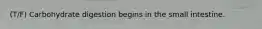 (T/F) Carbohydrate digestion begins in the small intestine.