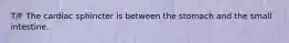 T/F The cardiac sphincter is between the stomach and the small intestine.