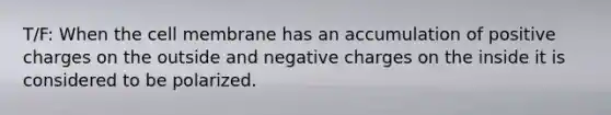 T/F: When the cell membrane has an accumulation of positive charges on the outside and negative charges on the inside it is considered to be polarized.