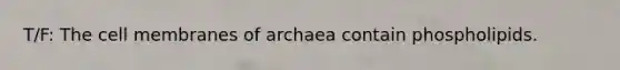 T/F: The cell membranes of archaea contain phospholipids.