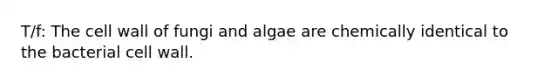 T/f: The cell wall of fungi and algae are chemically identical to the bacterial cell wall.