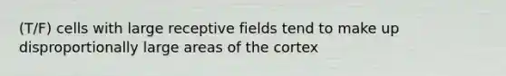 (T/F) cells with large receptive fields tend to make up disproportionally large areas of the cortex