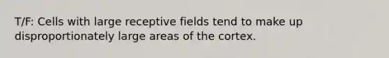 T/F: Cells with large receptive fields tend to make up disproportionately large areas of the cortex.