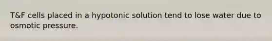 T&F cells placed in a hypotonic solution tend to lose water due to osmotic pressure.