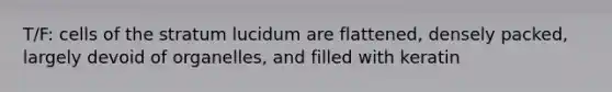 T/F: cells of the stratum lucidum are flattened, densely packed, largely devoid of organelles, and filled with keratin