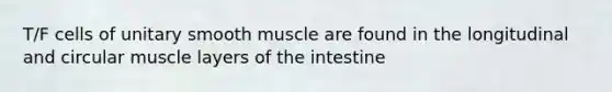 T/F cells of unitary smooth muscle are found in the longitudinal and circular muscle layers of the intestine