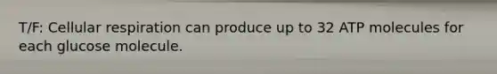 T/F: Cellular respiration can produce up to 32 ATP molecules for each glucose molecule.