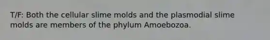 T/F: Both the cellular slime molds and the plasmodial slime molds are members of the phylum Amoebozoa.