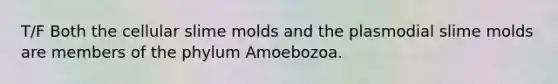 T/F Both the cellular slime molds and the plasmodial slime molds are members of the phylum Amoebozoa.