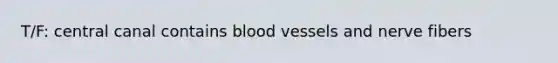 T/F: central canal contains blood vessels and nerve fibers