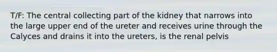 T/F: The central collecting part of the kidney that narrows into the large upper end of the ureter and receives urine through the Calyces and drains it into the ureters, is the renal pelvis