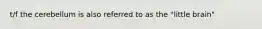 t/f the cerebellum is also referred to as the "little brain"