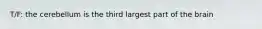 T/F: the cerebellum is the third largest part of the brain