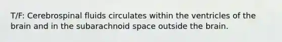 T/F: Cerebrospinal fluids circulates within the ventricles of <a href='https://www.questionai.com/knowledge/kLMtJeqKp6-the-brain' class='anchor-knowledge'>the brain</a> and in the subarachnoid space outside the brain.