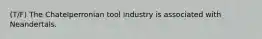 (T/F) The Chatelperronian tool industry is associated with Neandertals.