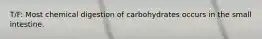 T/F: Most chemical digestion of carbohydrates occurs in the small intestine.