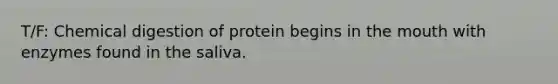 T/F: Chemical digestion of protein begins in the mouth with enzymes found in the saliva.