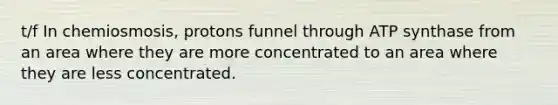 t/f In chemiosmosis, protons funnel through ATP synthase from an area where they are more concentrated to an area where they are less concentrated.