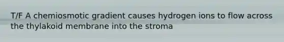 T/F A chemiosmotic gradient causes hydrogen ions to flow across the thylakoid membrane into the stroma