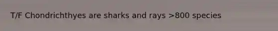 T/F Chondrichthyes are sharks and rays >800 species