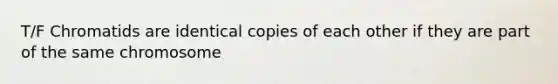 T/F Chromatids are identical copies of each other if they are part of the same chromosome