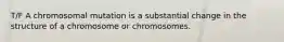 T/F A chromosomal mutation is a substantial change in the structure of a chromosome or chromosomes.