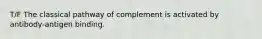 T/F The classical pathway of complement is activated by antibody-antigen binding.