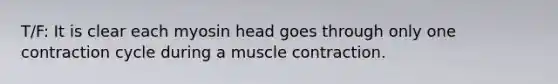 T/F: It is clear each myosin head goes through only one contraction cycle during a muscle contraction.