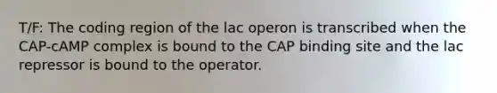 T/F: The coding region of the lac operon is transcribed when the CAP-cAMP complex is bound to the CAP binding site and the lac repressor is bound to the operator.