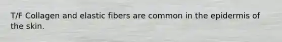 T/F Collagen and elastic fibers are common in the epidermis of the skin.