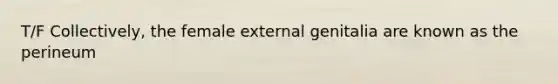 T/F Collectively, the female external genitalia are known as the perineum