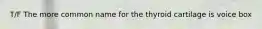 T/F The more common name for the thyroid cartilage is voice box