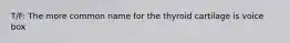 T/F: The more common name for the thyroid cartilage is voice box