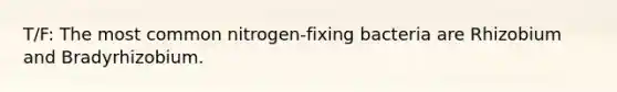 T/F: The most common nitrogen-fixing bacteria are Rhizobium and Bradyrhizobium.