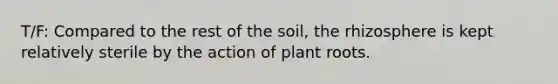 T/F: Compared to the rest of the soil, the rhizosphere is kept relatively sterile by the action of plant roots.