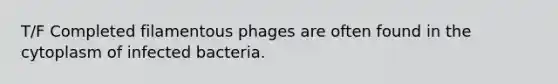 T/F Completed filamentous phages are often found in the cytoplasm of infected bacteria.