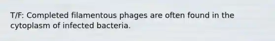 T/F: Completed filamentous phages are often found in the cytoplasm of infected bacteria.