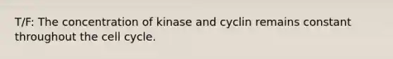 T/F: The concentration of kinase and cyclin remains constant throughout the cell cycle.