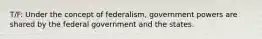 T/F: Under the concept of federalism, government powers are shared by the federal government and the states.