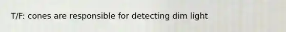 T/F: cones are responsible for detecting dim light