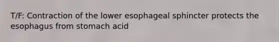 T/F: Contraction of the lower esophageal sphincter protects the esophagus from stomach acid