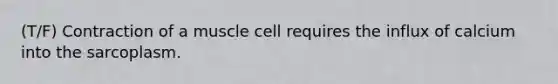 (T/F) Contraction of a muscle cell requires the influx of calcium into the sarcoplasm.