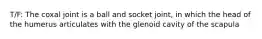T/F: The coxal joint is a ball and socket joint, in which the head of the humerus articulates with the glenoid cavity of the scapula