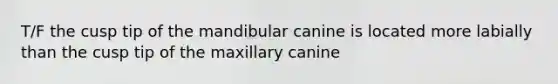 T/F the cusp tip of the mandibular canine is located more labially than the cusp tip of the maxillary canine